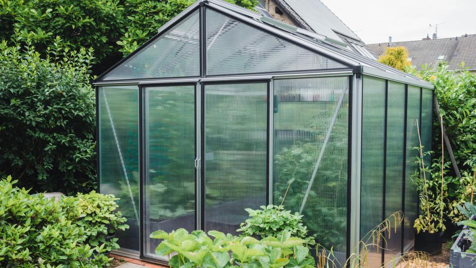 Transparentes Gewächshaus in einem Garten.