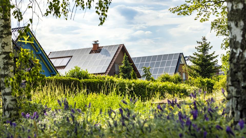 Häuser mit Solarzellen, davor ist eine hohe Wiese.