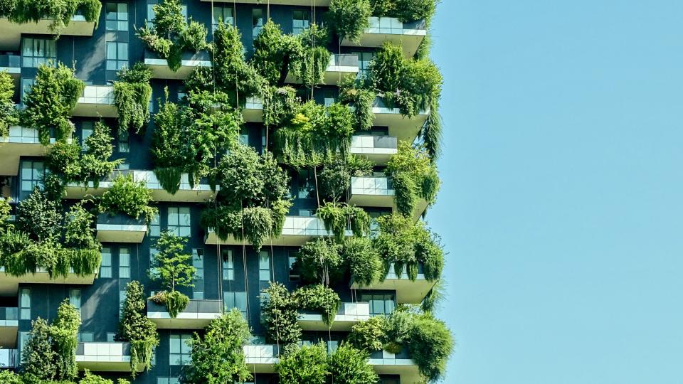 Ein stark bewachsendes Hochhaus